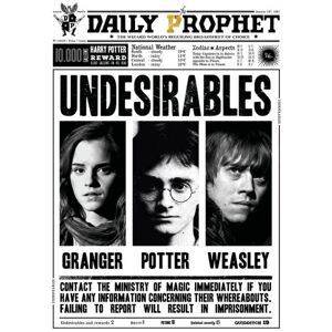 A3-print - Harry Potter - Daglig profet - Uønskede Multicolor