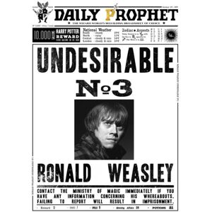 A3 print - Harry Potter - Daily Prophet - Donald Weasley nr. 3 Multicolor