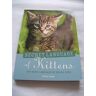 MediaTronixs The Secret Language of Kittens, Tammy Gagne