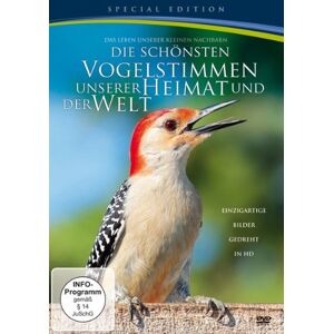 Frederick Forell Die Schönsten Vogelstimmen Unserer Heimat Und Der Welt [Special Edition]