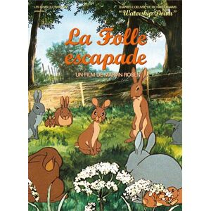 La folle escapade DVD - Publicité