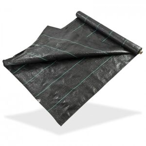 Dema Film de paillage noir 2 x 10 m - 100 g/m²