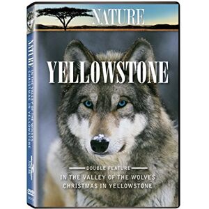 Zone nature: yellowstone [import usa zone 1]  questar