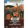 La balade des éléphants - elephant tales