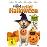 Lance Henriksen Ein Hund Rettet Halloween