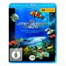 3d Unterwasserwelten - Tropen-Aquarium Hagenbeck [3d Blu-Ray]