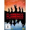 Flamenco, Flamenco - Carlos Saura