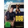 Channing Tatum Dog - Das Glück Hat Vier Pfoten