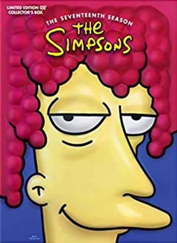 Refurbished: Simpsons: Complete Season 17 (15)