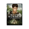 FOX Maze Runner - Il Labirinto DVD