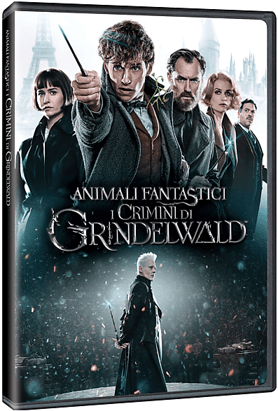 WARNER BROS Animali Fantastici - I Crimini di Grindelwald DVD