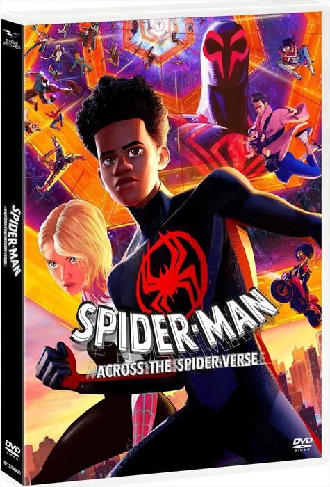 Sony Spider-man: Across The Spider-verse (dvd+card)