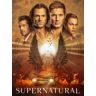 Supernatural - Season 15 (Import)