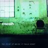 Mesh - The Point at Which It Falls Apart - Preis vom 16.05.2024 04:53:48 h