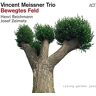 Meissner, Vincent Trio Bewegtes Feld