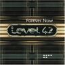 Level 42 Forever Now