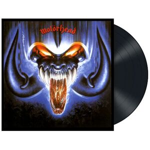 Motörhead LP - Rock 'n' Roll -