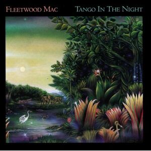 Fleetwood Mac - GEBRAUCHT Tango in the Night - Preis vom 19.05.2024 04:53:53 h