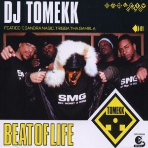 DJ Tomekk Feat.Sandra & Ice-T - GEBRAUCHT Beat of Life - Preis vom 01.06.2024 05:04:23 h