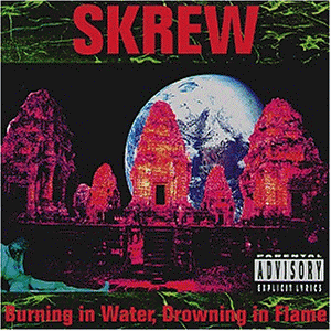 Skrew - GEBRAUCHT Burning in Water,Drowning in - Preis vom 17.05.2024 04:53:12 h