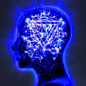 Enter Shikari - GEBRAUCHT The Mindsweep (CD+DVD) - Preis vom h