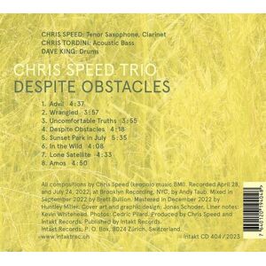 MediaTronixs Chris Speed Trio : Despite Obstacles CD (2023)