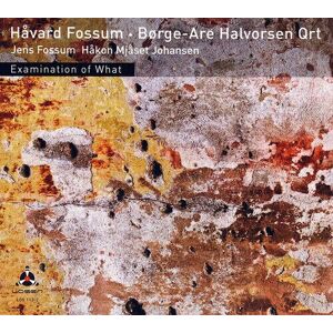 MediaTronixs Havard Fossum & Borge-Are Halvorsen Qrt : Examination of What CD (2011)
