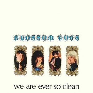 MediaTronixs Blossom Toes : We Are Ever So Clean CD Expanded Box Set 3 discs (2022)