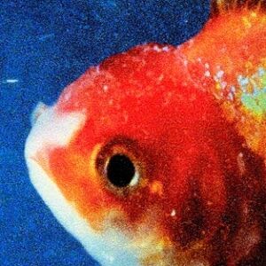 Bengans Vince Staples - Big Fish Theory (Picture Disc - 2LP)