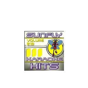 Sunfly Hits 213 TILBUD NU