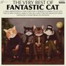 Bengans Fantastic Cat - Very Best Of Fantastic Cat