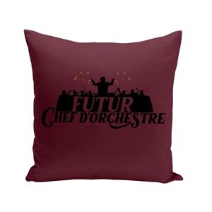 Housse De Coussin 40x40 Cm Futur Chef D'orchestre Musique Classique - Publicité