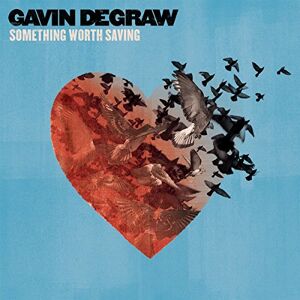 Gavin Degraw Something Worth Saving