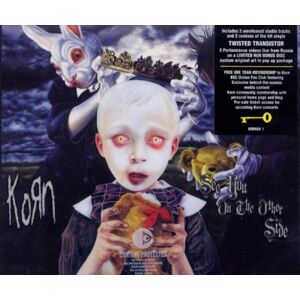 see you on the other side korn virgin records america inc.