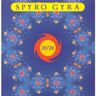 Spyro Gyra 20/20