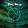 Deep Forest Essence Of The Forest