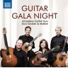 Amadeus Guitar Duo: Guitar Gala Night