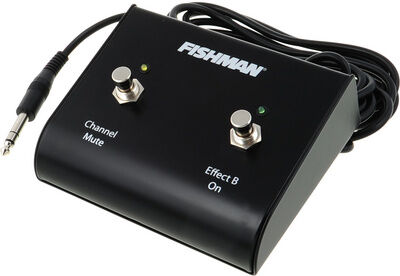 Fishman Dual Foot Switch