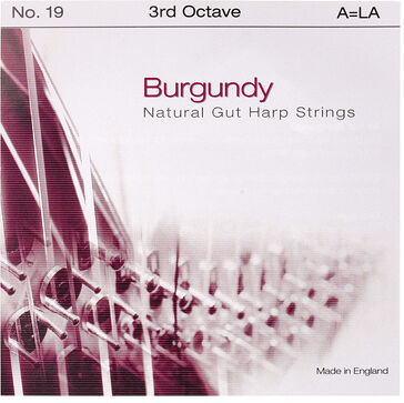 Bow Brand Burgundy 3rd A Gut Str. No.19