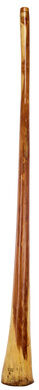 Thomann Didgeridoo Eucalyp. Proline E