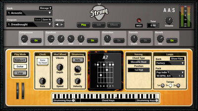 Applied Acoustics Systems Strum GS-2