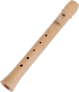 Adler Heinrich Kids Recorder