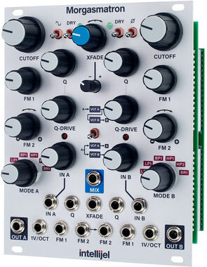 Intellijel Designs Morgasmatron