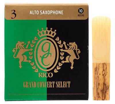 Daddario Woodwinds Grand Concert Select A-Sax 3