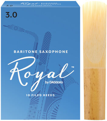 Daddario Woodwinds Royal Baritone Sax 3