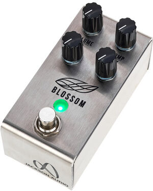 Jackson Audio Blossom