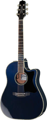 Takamine LTD 2021