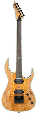 BC Rich Shredzilla Pro. SM Showroom