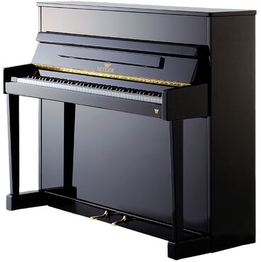 Seiler 116 Ritmo, black polished