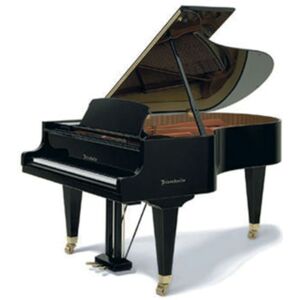 Bösendorfer Grand Piano 200 - Flügel